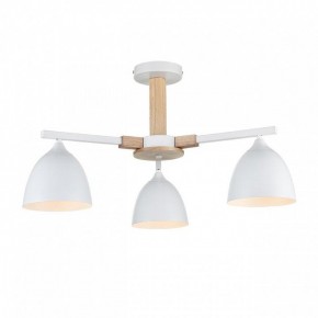 Люстра на штанге Lumion Colange 8095/3C в Невьянске - nevyansk.mebel24.online | фото 2