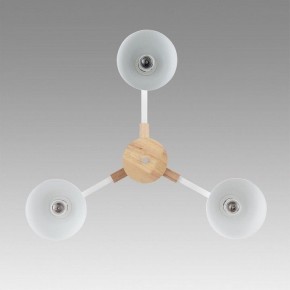 Люстра на штанге Lumion Colange 8095/3C в Невьянске - nevyansk.mebel24.online | фото 3