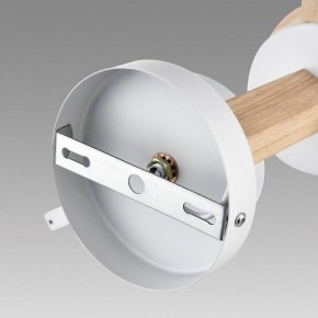 Люстра на штанге Lumion Colange 8095/3C в Невьянске - nevyansk.mebel24.online | фото 6