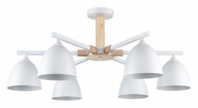 Люстра на штанге Lumion Colange 8095/6C в Невьянске - nevyansk.mebel24.online | фото
