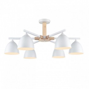 Люстра на штанге Lumion Colange 8095/6C в Невьянске - nevyansk.mebel24.online | фото 2
