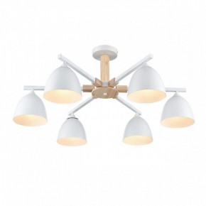 Люстра на штанге Lumion Colange 8095/6C в Невьянске - nevyansk.mebel24.online | фото 3