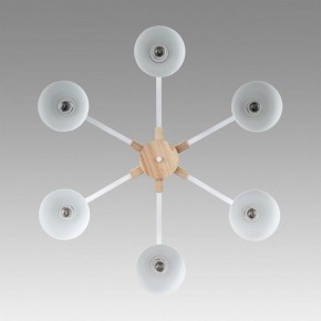 Люстра на штанге Lumion Colange 8095/6C в Невьянске - nevyansk.mebel24.online | фото 4