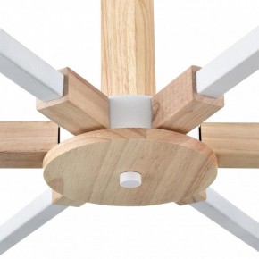 Люстра на штанге Lumion Colange 8095/6C в Невьянске - nevyansk.mebel24.online | фото 7