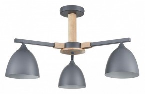 Люстра на штанге Lumion Colange 8096/3C в Невьянске - nevyansk.mebel24.online | фото