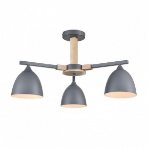 Люстра на штанге Lumion Colange 8096/3C в Невьянске - nevyansk.mebel24.online | фото 2