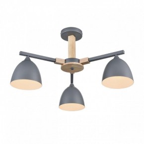 Люстра на штанге Lumion Colange 8096/3C в Невьянске - nevyansk.mebel24.online | фото 3