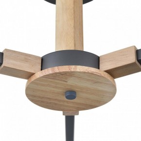 Люстра на штанге Lumion Colange 8096/3C в Невьянске - nevyansk.mebel24.online | фото 7