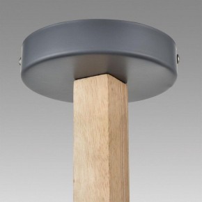 Люстра на штанге Lumion Colange 8096/3C в Невьянске - nevyansk.mebel24.online | фото 9