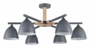 Люстра на штанге Lumion Colange 8096/6C в Невьянске - nevyansk.mebel24.online | фото