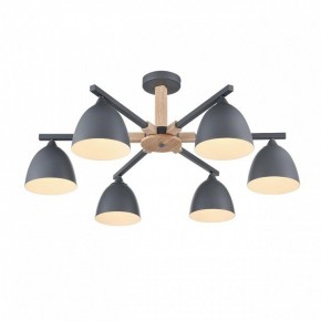 Люстра на штанге Lumion Colange 8096/6C в Невьянске - nevyansk.mebel24.online | фото 3