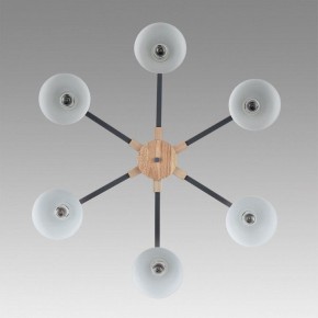 Люстра на штанге Lumion Colange 8096/6C в Невьянске - nevyansk.mebel24.online | фото 4