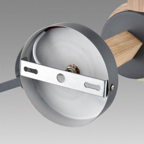 Люстра на штанге Lumion Colange 8096/6C в Невьянске - nevyansk.mebel24.online | фото 6