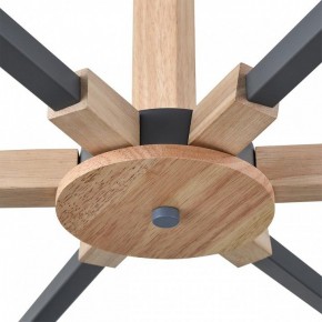Люстра на штанге Lumion Colange 8096/6C в Невьянске - nevyansk.mebel24.online | фото 7