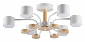 Люстра на штанге Lumion Rondo 8231/6C в Невьянске - nevyansk.mebel24.online | фото