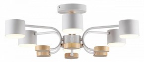 Люстра на штанге Lumion Rondo 8231/6C в Невьянске - nevyansk.mebel24.online | фото 2