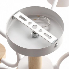 Люстра на штанге Lumion Rondo 8231/6C в Невьянске - nevyansk.mebel24.online | фото 6