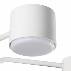Люстра на штанге Lumion Rondo 8231/6C в Невьянске - nevyansk.mebel24.online | фото 7