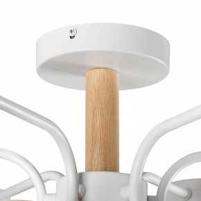 Люстра на штанге Lumion Rondo 8231/6C в Невьянске - nevyansk.mebel24.online | фото 8