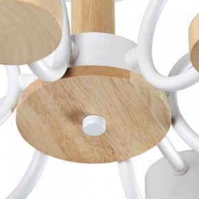 Люстра на штанге Lumion Rondo 8231/6C в Невьянске - nevyansk.mebel24.online | фото 9