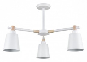 Люстра на штанге Lumion Rosalina 8097/3C в Невьянске - nevyansk.mebel24.online | фото