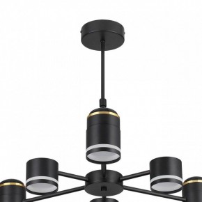 Люстра на штанге Lumion Virsava 8234/6C в Невьянске - nevyansk.mebel24.online | фото 5