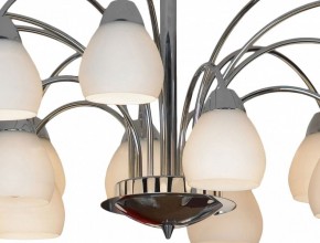 Люстра на штанге Lussole Apiro GRLSF-2403-15 в Невьянске - nevyansk.mebel24.online | фото 12