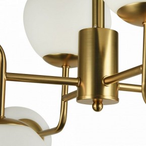 Люстра на штанге Maytoni Erich MOD221-PL-08-G в Невьянске - nevyansk.mebel24.online | фото 8