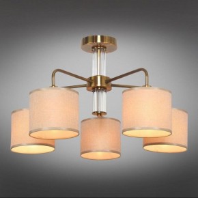 Люстра на штанге Omnilux Barumini OML-56907-05 в Невьянске - nevyansk.mebel24.online | фото 2