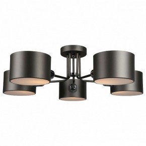 Люстра на штанге Omnilux Lisera OML-54507-05 в Невьянске - nevyansk.mebel24.online | фото 2