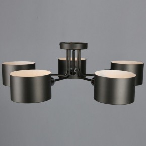Люстра на штанге Omnilux Lisera OML-54507-05 в Невьянске - nevyansk.mebel24.online | фото 5
