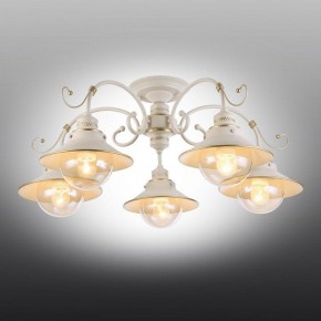 Люстра на штанге Omnilux Torri OML-50807-05 в Невьянске - nevyansk.mebel24.online | фото 2