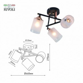 Люстра на штанге Rivoli Fiona Б0059259 в Невьянске - nevyansk.mebel24.online | фото