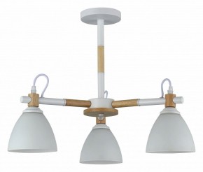 Люстра на штанге Rivoli Louise Б0060982 в Невьянске - nevyansk.mebel24.online | фото