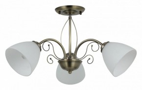 Люстра на штанге Rivoli Sue Б0060985 в Невьянске - nevyansk.mebel24.online | фото