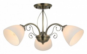 Люстра на штанге Rivoli Sue Б0060985 в Невьянске - nevyansk.mebel24.online | фото 2