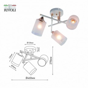 Люстра на штанге Rivoli Tammy Б0059258 в Невьянске - nevyansk.mebel24.online | фото