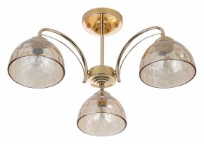Люстра на штанге Rivoli Terri Б0060988 в Невьянске - nevyansk.mebel24.online | фото 2
