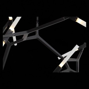 Люстра на штанге ST-Luce Laconicita SL947.402.20 в Невьянске - nevyansk.mebel24.online | фото 12