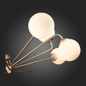 Люстра на штанге ST-Luce Redjino SLE106203-12 в Невьянске - nevyansk.mebel24.online | фото 7