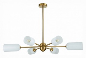 Люстра на штанге ST-Luce Treviso SL1180.202.06 в Невьянске - nevyansk.mebel24.online | фото 2