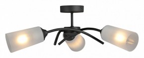 Люстра на штанге Vitaluce V2850 V2850-1/3PL в Невьянске - nevyansk.mebel24.online | фото 3