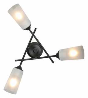 Люстра на штанге Vitaluce V2850 V2850-1/3PL в Невьянске - nevyansk.mebel24.online | фото 4