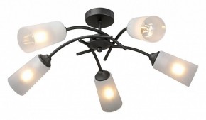 Люстра на штанге Vitaluce V2850 V2850-1/5PL в Невьянске - nevyansk.mebel24.online | фото 2