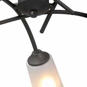 Люстра на штанге Vitaluce V2850 V2850-1/5PL в Невьянске - nevyansk.mebel24.online | фото 6