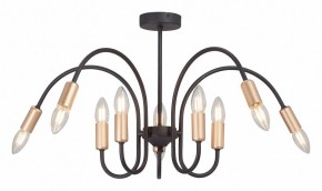 Люстра на штанге Vitaluce V3026 V3026-1/10PL в Невьянске - nevyansk.mebel24.online | фото 2
