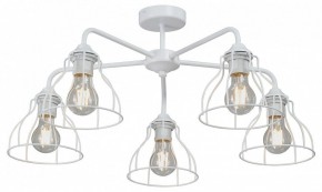 Люстра на штанге Vitaluce V3102 V3102-0/5PL в Невьянске - nevyansk.mebel24.online | фото