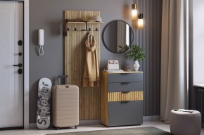 МЕБЕЛЬСОН К3 Прихожая (графит) в Невьянске - nevyansk.mebel24.online | фото