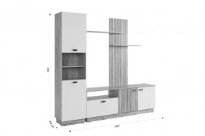 МОДИ Гостиная (модульная) белое дерево в Невьянске - nevyansk.mebel24.online | фото 2