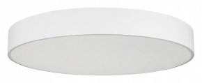 Накладной светильник Arlight TOR PILL 022132(4) в Невьянске - nevyansk.mebel24.online | фото